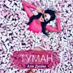 Обложка песни «Туман» — музыка исполнителя Аля Дюйм