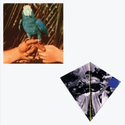 Обложка песни Capsized, Andrew Bird