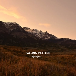 Cover art for Falling Pattern, Aquilegia