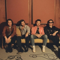Cover art for D Is For Dangerous, Arctic Monkeys