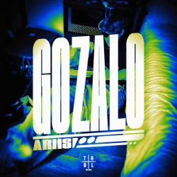 Обкладинка пісні GOZALO - Super Slowed, Ariis