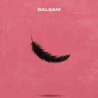 Обложка песни Я, падаю в тебе Мʼяко, Balsam