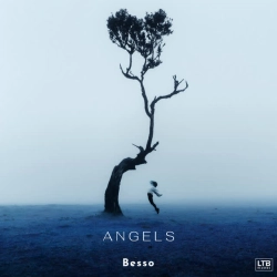Обложка песни Angels, Besso