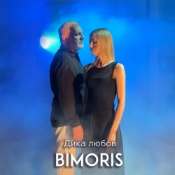 Обложка песни Дика любов, Bimoris