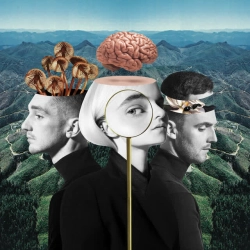 Обложка песни Symphony (feat Zara Larsson), Clean Bandit & Zara Larsson