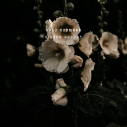 Cover art for Silent Garden, Cole Neumann