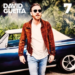 Обкладинка пісні Like I Do, David Guetta & Martin Garrix & Brooks