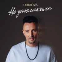 Обкладинка пісні Не заплакала, Dibrova