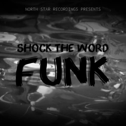 Обложка песни shock the word funk - sped up, DJ FLPX & DJ VNGX & North Star