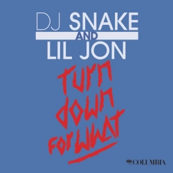 Обкладинка пісні Turn Down for What, DJ Snake & Lil Jon