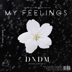 Обложка песни My Feelings, DNDM