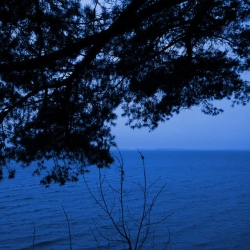 Обложка песни Your Gaze Touches My Body - New Version, Ecveezer
