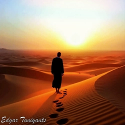 Обложка The Lonely Wanderer