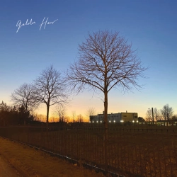Cover art for Golden Hour, Henry Flower
