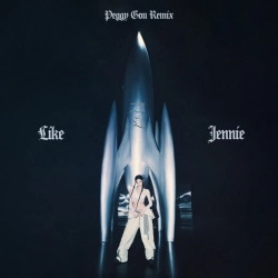 Обложка песни like JENNIE - Peggy Gou Remix, JENNIE & Peggy Gou