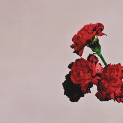 Обложка песни «All of Me» — музыка исполнителя John Legend