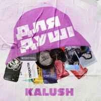 Cover art for Тебе не попустить, KALUSH