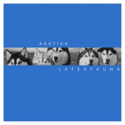 Обложка песни Arktika, LATEXFAUNA
