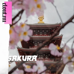 Обложка Sakura