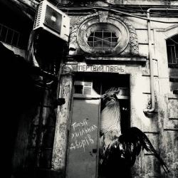 Cover art for Поезія хмільних дворів, Мертвий півень