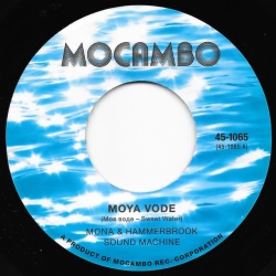 Обложка песни «Moya Vode» — музыка исполнителя Mona & Hammerbrook Sound Machine