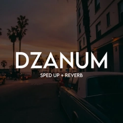 Cover art for Džanum (Sped Up + Reverb), Music Wala