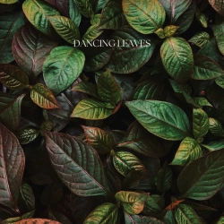 Обкладинка пісні Dancing Leaves, Nascondiglio
