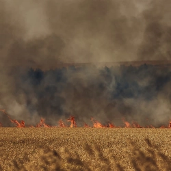 Cover art for Втомився, Нервы
