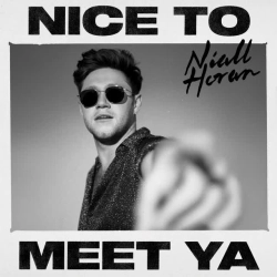 Обложка песни Nice To Meet Ya, Niall Horan