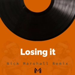 Обложка песни Losing It - Remix, Nick Marshall