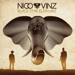 Обложка песни Am I Wrong, Nico & Vinz