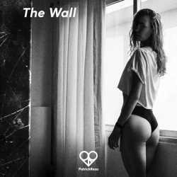 Обложка песни «The Wall» — музыка исполнителя PatrickReza