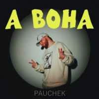 Обкладинка пісні А вона, Pauchek