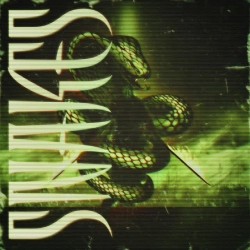 Обкладинка пісні SNAKES, ROONIN
