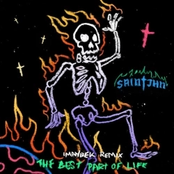 Обложка песни The Best Part of Life (Imanbek Remix), SAINt JHN,Imanbek