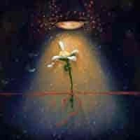 Cover art for 4 Січня, Samwan