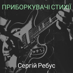 Обложка Приборкувачі стихії