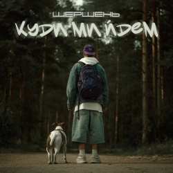 Cover art for Куди ми йдем, Шершень