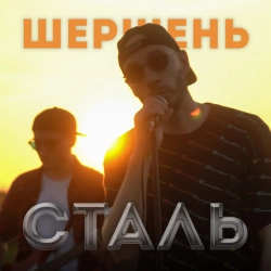 Обложка песни Сталь, Шершень
