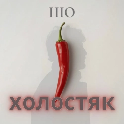 Cover art for Шо холостяк, Sho Kapets