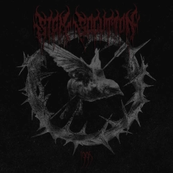 Cover art for Скруха, Sick Solution & АННА