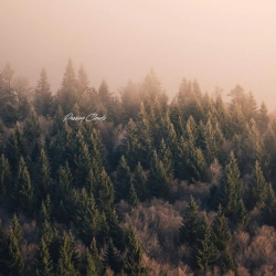 Cover art for Passing Clouds, Skaresnø
