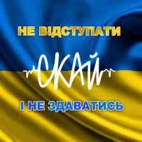 Обложка Не відступати і не здаватись