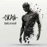 Обложка Вибачай