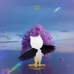 Обкладинка пісні «softcore - slowed + reverb» — музика виконавця slō & twilight & Tazzy