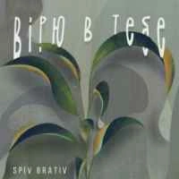 Обкладинка пісні Вірю в тебе, Spiv Brativ