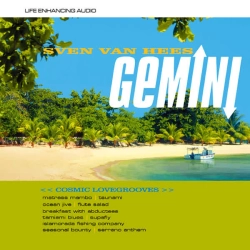 Cover art for Tsunami (Inside My Soul), Sven Van Hees