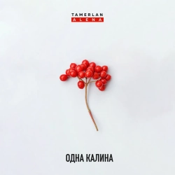 Обложка песни Одна калина, TamerlanAlena