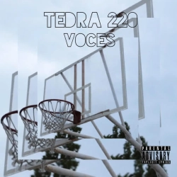Обложка песни Voces, Tedra & RAI Beatz