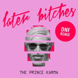 Обложка Later Bitches - DNF Remix